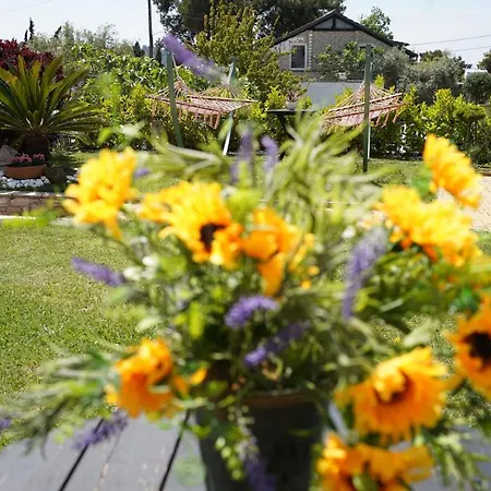 Jasmine بيت ضيافة 4*